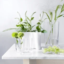 Iittala Alvar Aalto duo vaas, helder< Vazen