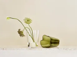Iittala Alvar Aalto vaas helder, 270 mm< Vazen