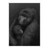Kunskapstavlan® Bergsgorillan poster, 50x70 cm< Posters