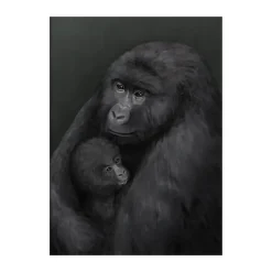 Kunskapstavlan® Bergsgorillan poster, 30x40 cm< Posters