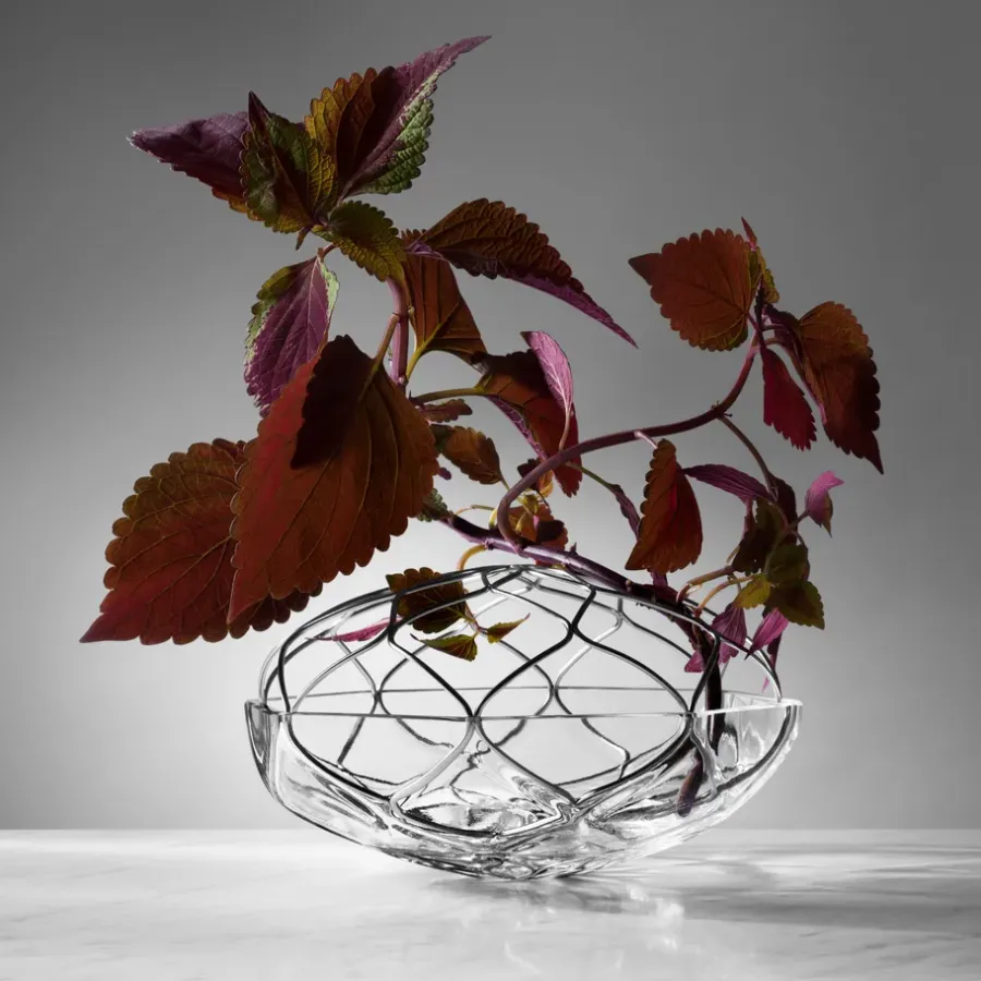 Orrefors Bloom vaas, Ø 23 cm< Vazen
