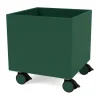 Montana Colour Box I – S6161, Pine< Kinderkamer Interieuraccessoires|Kinderkamer Interieuraccessoires