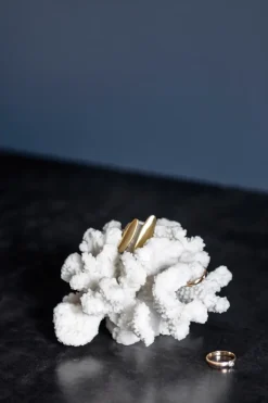 Mette Ditmer Coral branches white, Small< Sculpturen & Porseleinen Beelden