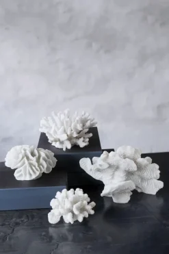 Mette Ditmer Coral fan, White< Sculpturen & Porseleinen Beelden