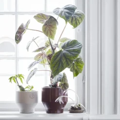 Fritz Hansen Edge bloempot (binnen) Ø18 cm, burned red< Bloempotten
