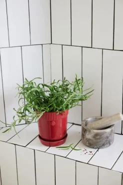 Sagaform Elise kruidenpot Ø11 cm, Bordeauxrood< Kerstdecoraties