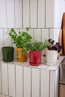 Sagaform Elise kruidenpot Ø11 cm, Bordeauxrood< Kerstdecoraties