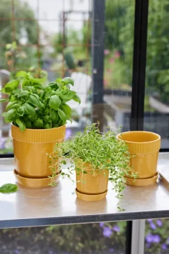 Sagaform Elise kruidenpot Ø11 cm, Geel< Bloempotten