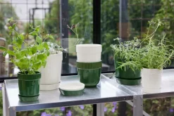Sagaform Elise kruidenpot Ø11 cm, Groen< Bloempotten