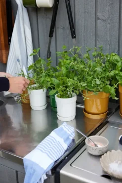 Sagaform Elise kruidenpot Ø11 cm, Wit< Bloempotten