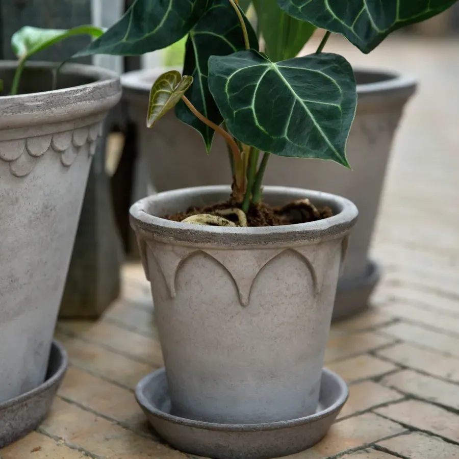 Bergs Potter Elizabeth pot Ø16 cm, Grey< Bloempotten