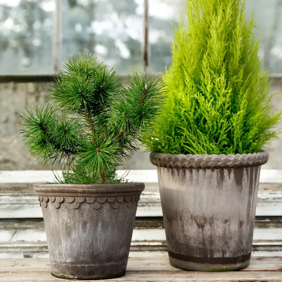 Bergs Potter Emilia pot 16 cm, Grijs< Bloempotten