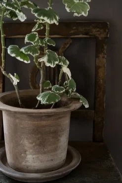 ERNST terracotta pot met schotel, Ø24x17 cm< Bloempotten