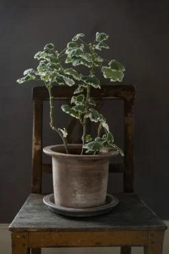 ERNST terracotta pot met schotel, Ø24x17 cm< Bloempotten