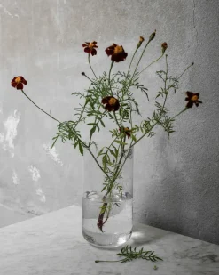 ERNST vaas bubbelglas 25 cm, Helder< Vazen