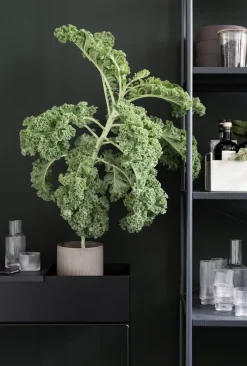 Ferm Living plantenbak, zwart< Bloempotten