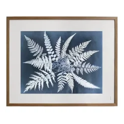 Fine Little Day Fern star poster, 40x50 cm< Posters