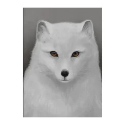 Kunskapstavlan® Fjällräv poster, 30x40 cm< Posters