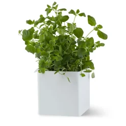 Gejst Flex Box klein 10,5 cm, Wit< Planken & Planksystemen