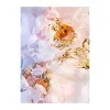 Paper Collective Flora Aquatica 03 poster, 70x100 cm< Posters