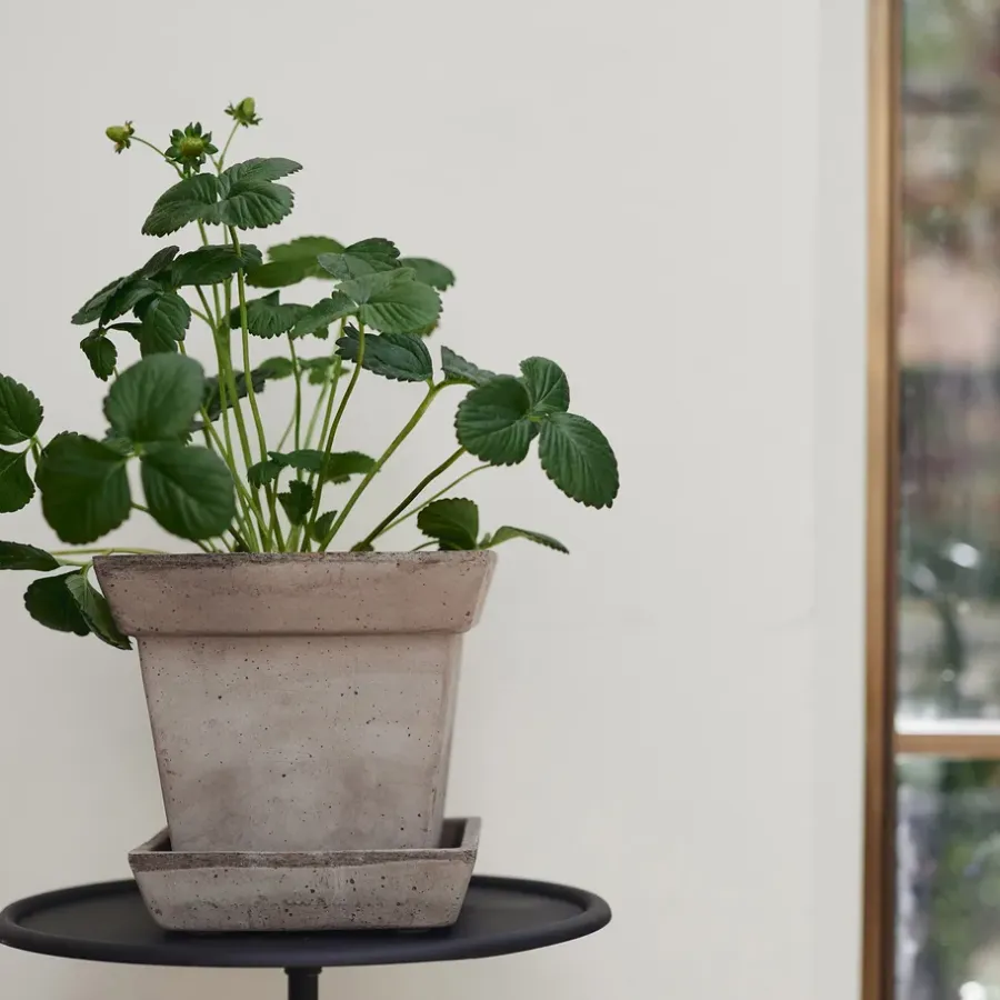 Bergs Potter Gaia raw bloempot, Grey, Ø21 cm< Bloempotten