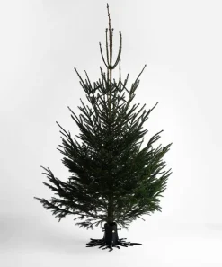 Garden Glory kerstboomstandaard, Black matte< Kerstdecoraties