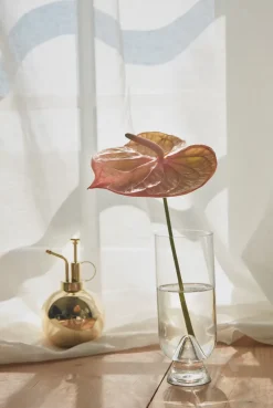 AYTM Globe plantenspuit, Goud< Gieters