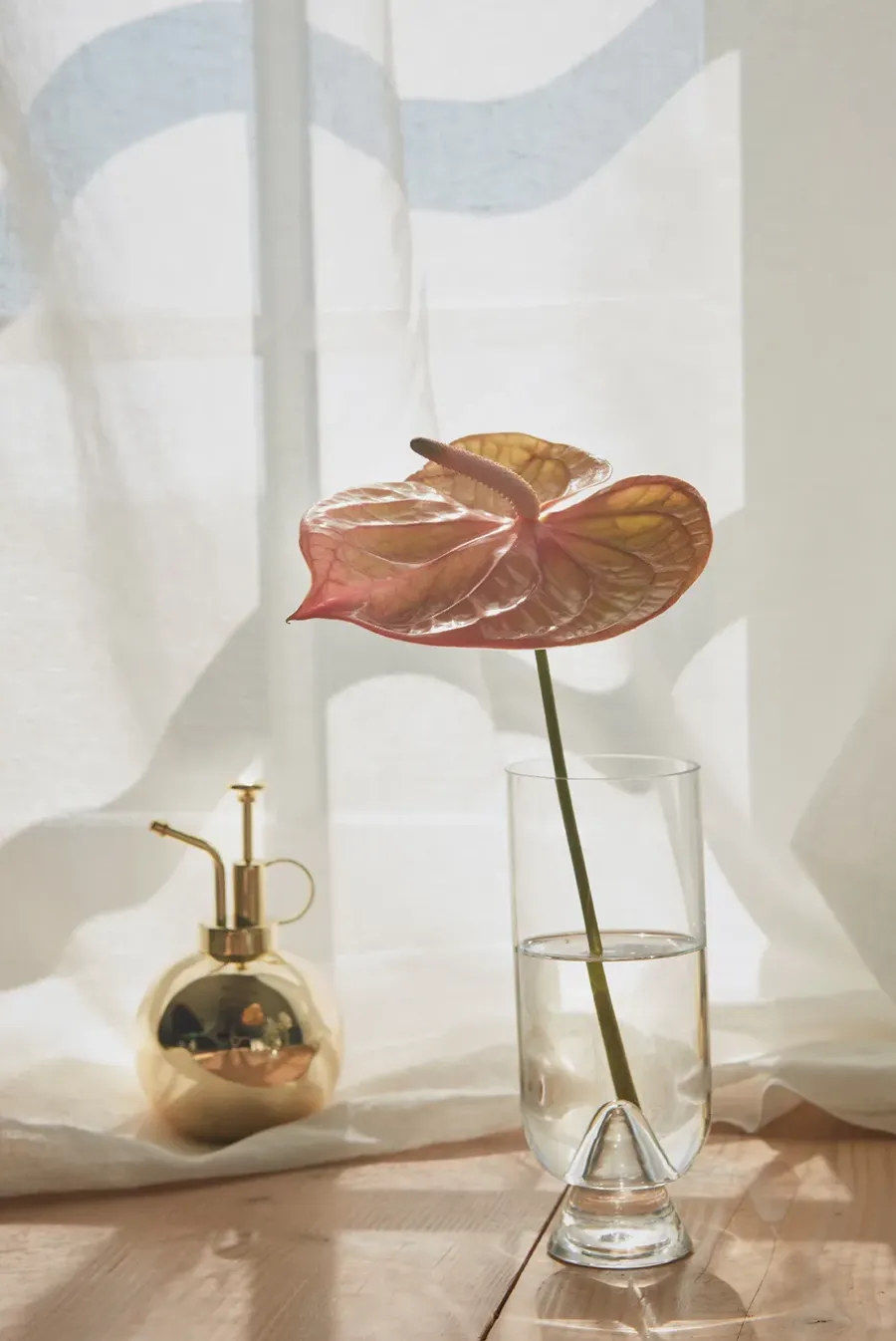 AYTM Globe plantenspuit, Goud< Gieters