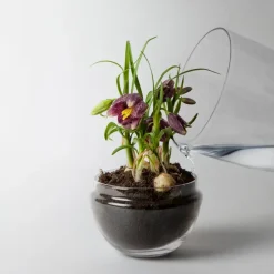 Design House Stockholm Grow kas, Middel Ø11 cm< Bloempotten
