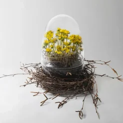 Design House Stockholm Grow kas, x-large Ø20 cm< Bloempotten