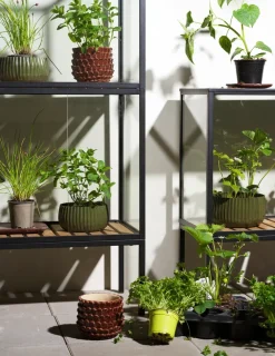 Brafab Grower Greens plantenkast, Zwart, 81x137 cm< Kasten & Vitrines