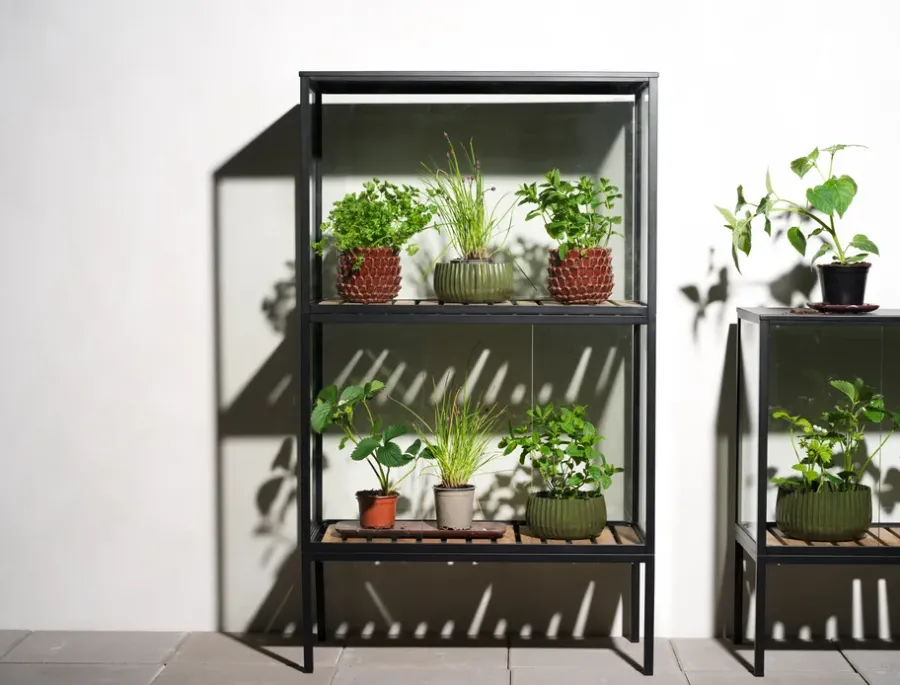 Brafab Grower Greens plantenkast, Zwart, 81x137 cm< Kasten & Vitrines