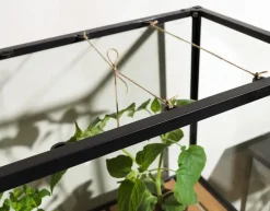 Brafab Grower Greens plantenkast, Zwart, 81x137 cm< Kasten & Vitrines
