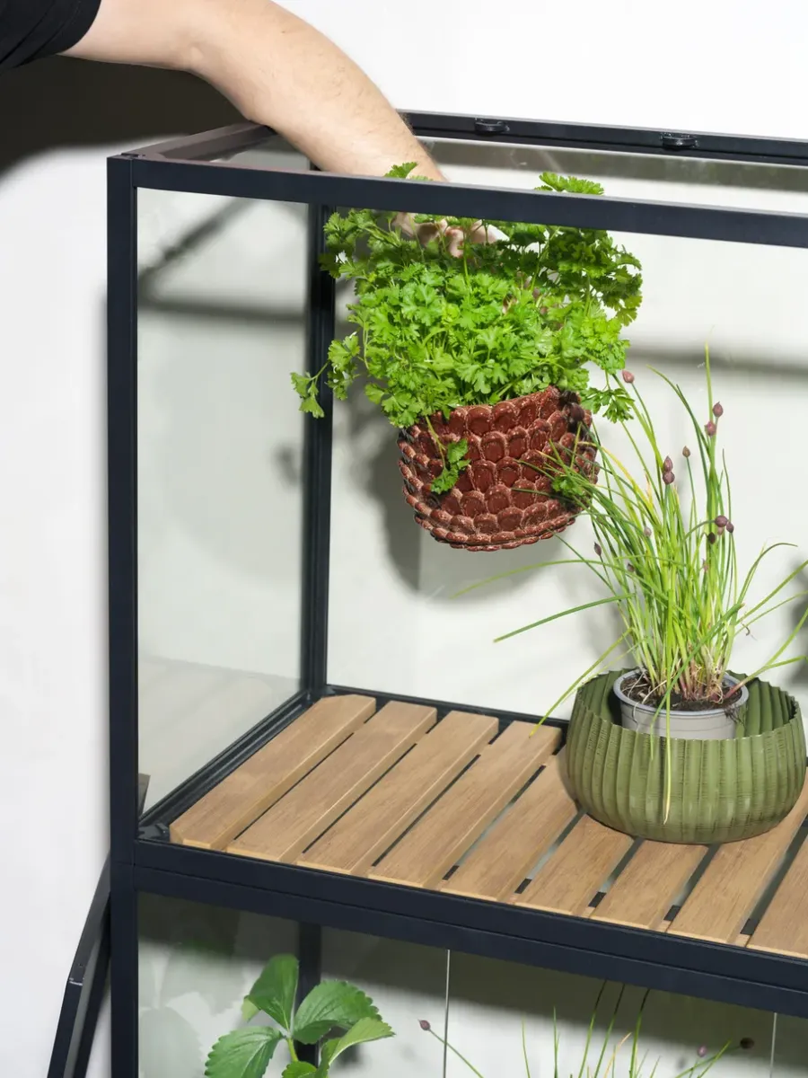 Brafab Grower Greens plantenkast, Zwart, 81x137 cm< Kasten & Vitrines