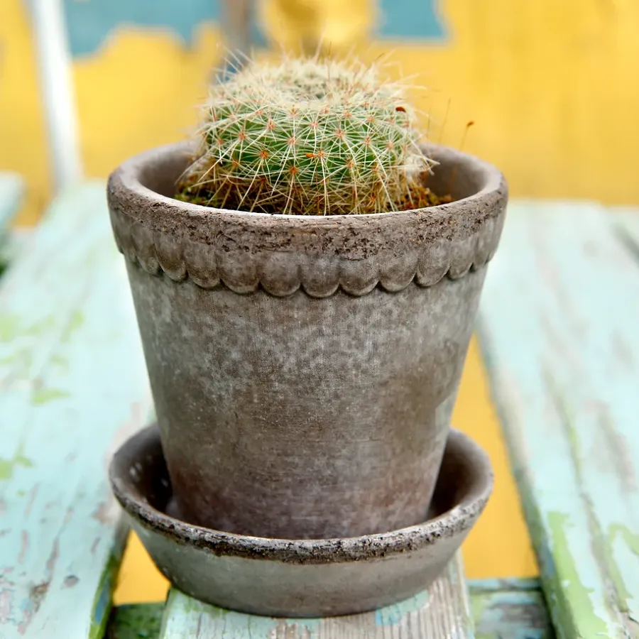 Bergs Potter Helena pot Ø10 cm, Grijs< Bloempotten