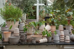 Bergs Potter Helena pot Ø12 cm, Roze< Bloempotten
