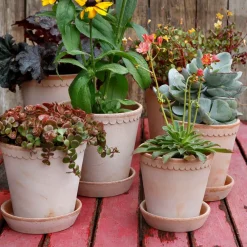 Bergs Potter Helena pot Ø10 cm, Roze< Bloempotten