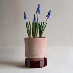 Bergs Potter Hoff pot, Ø16 cm, Raw Rosa-Deep Burgundy< Bloempotten