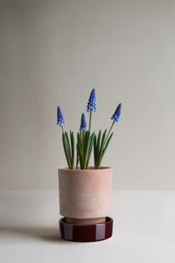 Bergs Potter Hoff pot, Ø14 cm, Raw Rosa-Deep Burgundy< Bloempotten