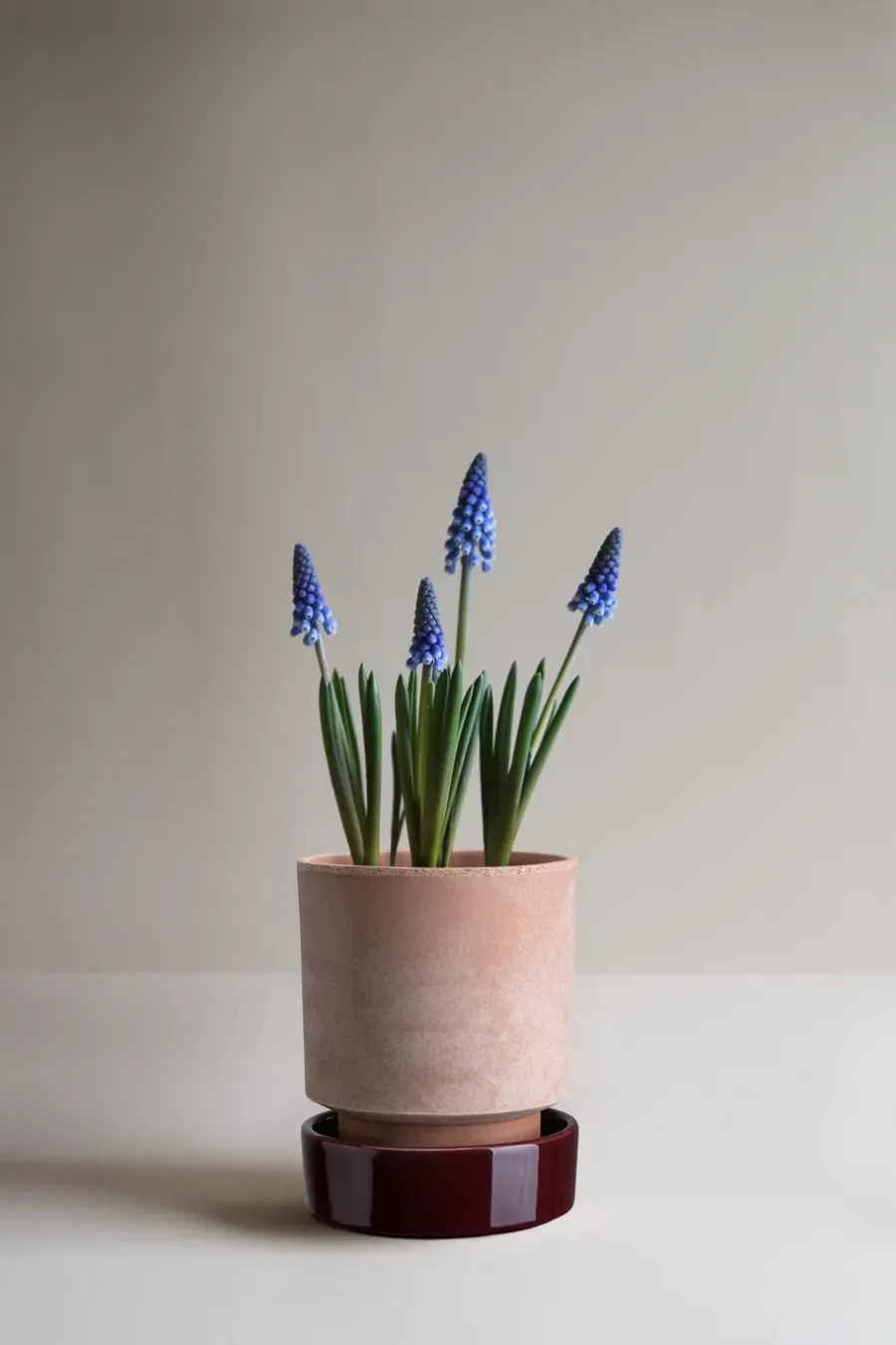 Bergs Potter Hoff pot, Ø14 cm, Raw Rosa-Deep Burgundy< Bloempotten