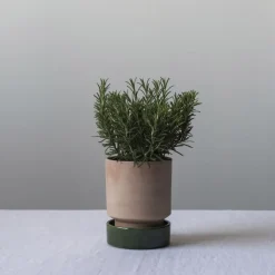 Bergs Potter Hoff pot, Ø18 cm, Raw Rosa-Emerald Green< Bloempotten