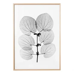 Fine Little Day Katsura poster, 70x100 cm< Posters
