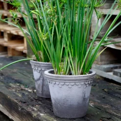 Bergs Potter Københavner pot Ø18 cm, Grijs< Bloempotten