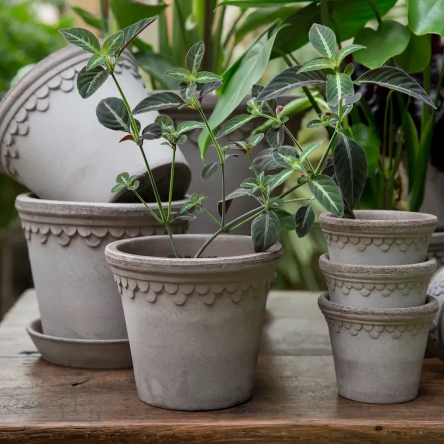 Bergs Potter Københavner pot Ø16 cm, Grijs< Bloempotten