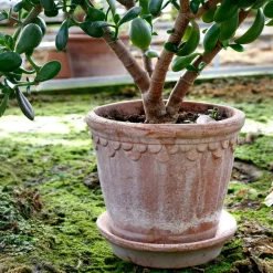 Bergs Potter Københavner pot 21 cm, Roze< Bloempotten
