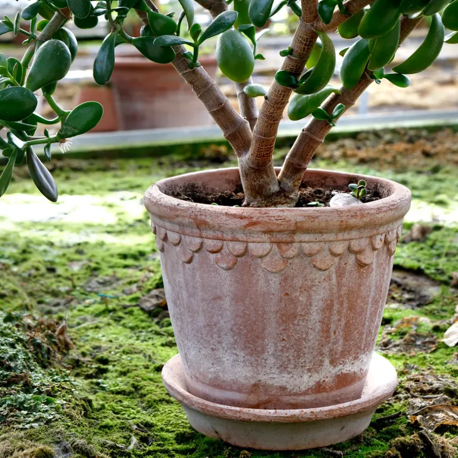 Bergs Potter Københavner pot 21 cm, Roze< Bloempotten