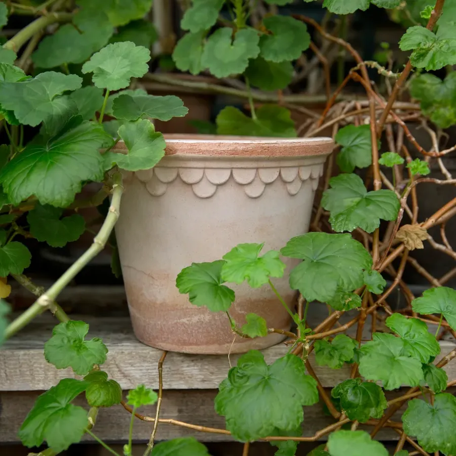Bergs Potter Københavner pot Ø16 cm, Roze< Bloempotten