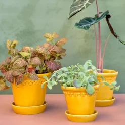 Bergs Potter Københavner pot geglazuurd Ø16 cm, Geel< Bloempotten