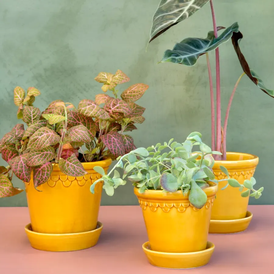Bergs Potter Københavner pot geglazuurd Ø18 cm, Geel< Bloempotten
