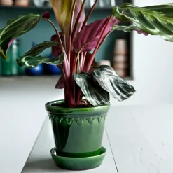 Bergs Potter Københavner pot geglazuurd Ø18 cm, Groen< Bloempotten